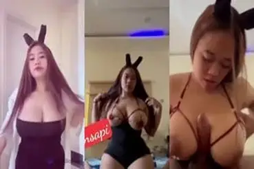 Vijes Sepibukansapi Ngewe Hot Kostum Bunny